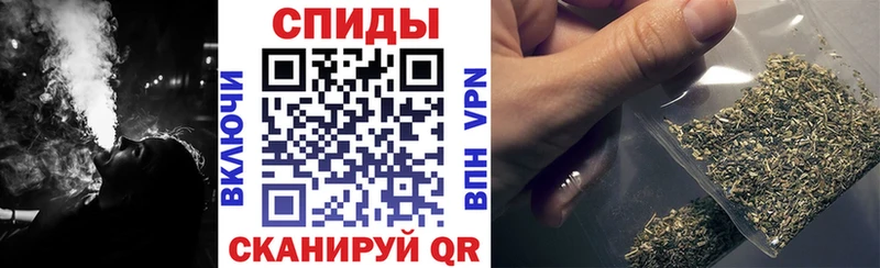 Бутират буратино купить сайты Магадан