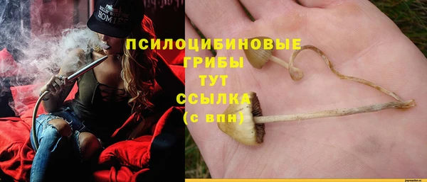 mix Абаза