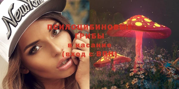 МДПВ Абдулино