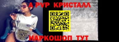 шишки Заводоуковск