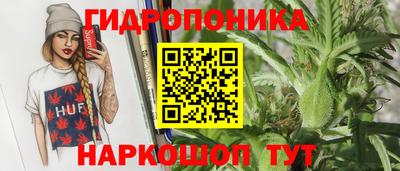 шишки Заводоуковск