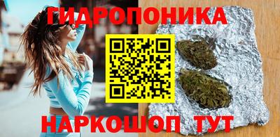 шишки Заводоуковск
