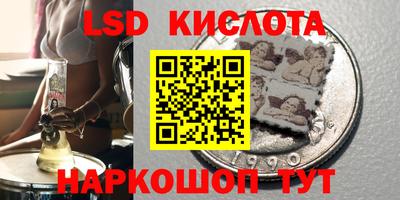 шишки Заводоуковск